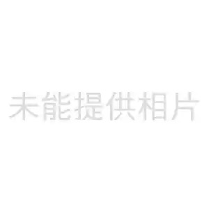 BCM60500KFSBG BROADCOM